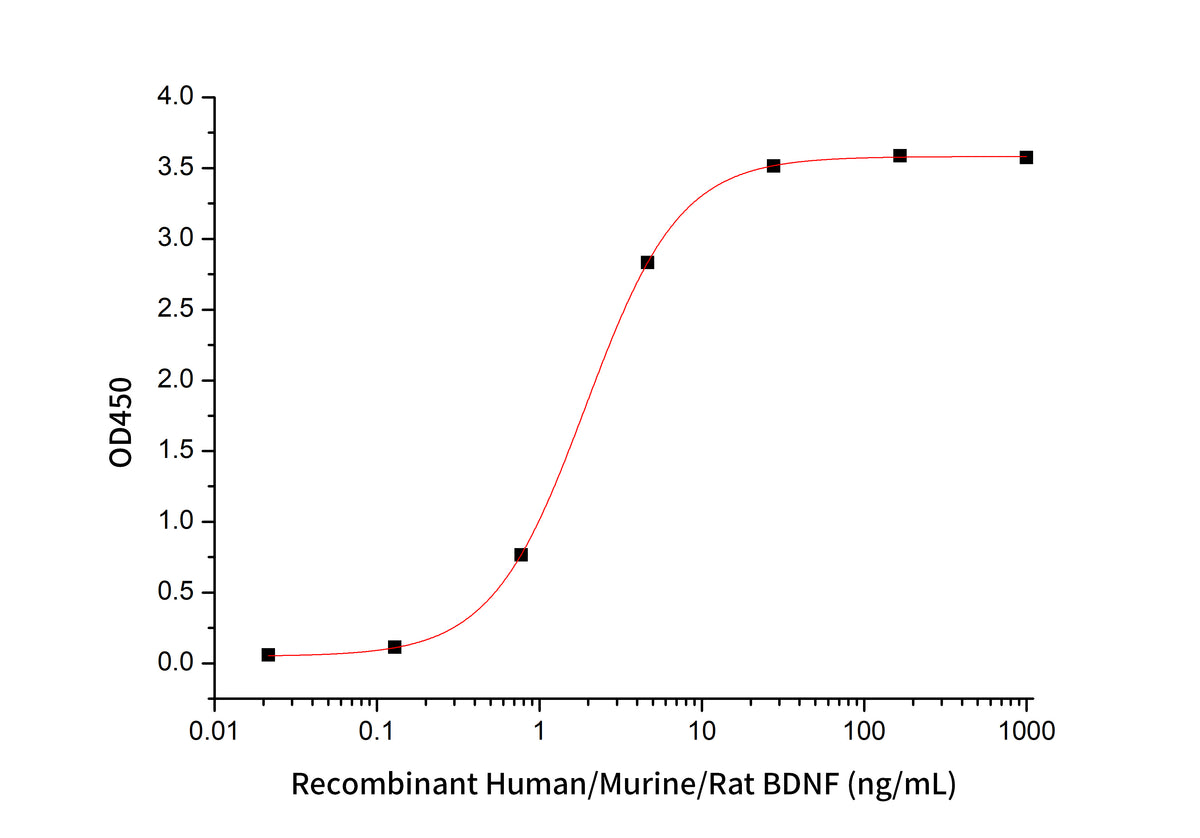 bdnf activity - Product image 1