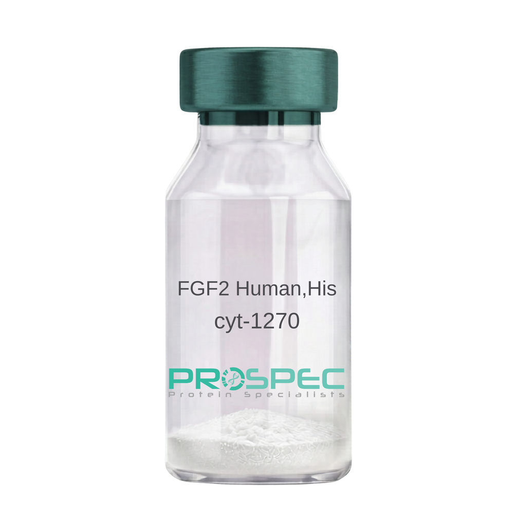FGF2 Human, His