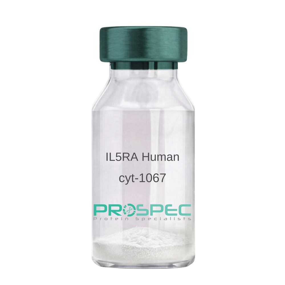 IL5RA Human